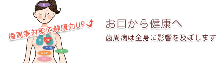 歯周病は全身に影響を及ぼします